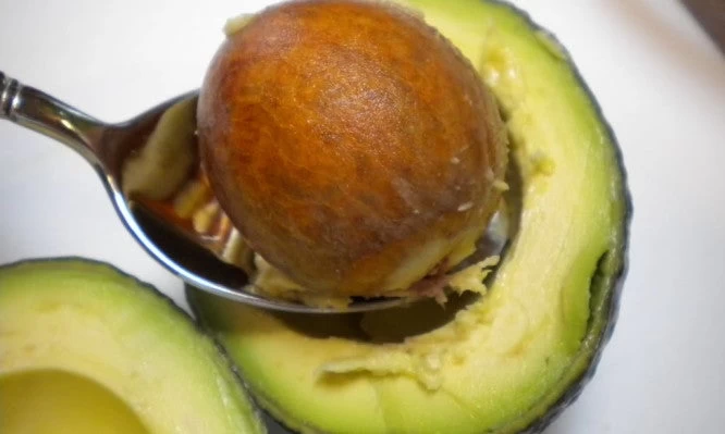 Δείτε αυτό και δεν θα ξαναπετάξετε ποτέ το κουκούτσι του αβοκάντο (βίντεο)